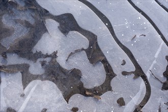 Pattern on frozen water surface, ice crystals, North Rhine-Westphalia, Germany, Europe