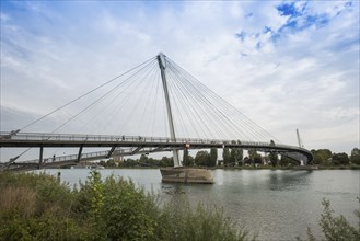 Bridge over the Rhine, cable-stayed bridge Passerelle des Deux Rives, Kehl, Ortenau,