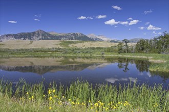 Mountains reflected in lake at Waterton Lakes National Park, Alberta, Canadian Rockies, Canada,