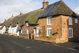 Historic row of thatched cottages in village of Upavon, Wiltshire, England, UK