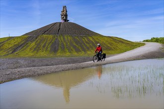 Cyclist on the Rheinelbe spoil tip in Gelsenkirchen, 100 metre high spoil tip, landscape park, with