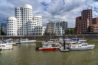 Media harbour, Düsseldorf, marina, marina, Neuer Zollhof, Gehry buildings, by architect Frank O.