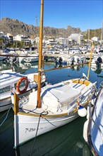 Port de Polença, harbour, in the northwest of, Majorca, Spain, Europe