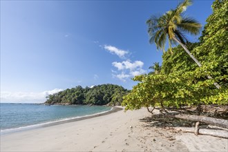 Idyllic tropical sandy beach, Playa Escondida, Manuel Antonio National Park, Puntarenas district,