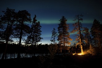 Man in the evening at a bivouac with campfire, Lapland, Sweden, Scandinavia, Europe