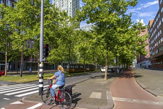 Urban greening, inner-city street Laan op Zuid, in Rotterdam's Feijenoord district, 4 lanes, 2 tram