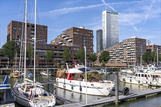 Rotterdam Marina, behind residential high-rise buildings at Spoorweghaven, pleasure craft harbour,