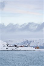 Colourful houses in a snowy landscape, fishing village Kongsfjord, Berlevåg, Varanger Peninsula,