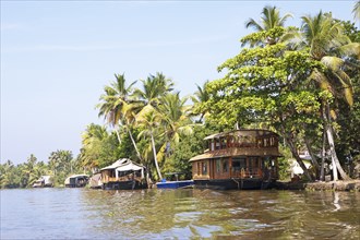 Traditional houseboats on a canal in the canal system of the backwaters, Kerala, India, Asia