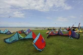 Kitesurfer on the beach of Lake Neusiedl, Podersdorf, Lake Neusiedl National Park, Burgenland,