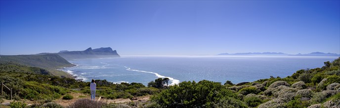 Cape Point Nature Reserve, Cape Point, Cape of Good Hope, Cape Peninsula, Western Cape, South