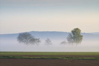 Morning fog over green hills and fields, spring, Schmachtenberg, Miltenberg, Spessart, Germany,