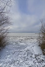 Ice floes, ice, frozen, ice surface, floes, winter, season, nature, water, Lake Dümmer, northern