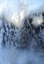 Detailed close-up of frost patterns on a glass window, AI generated