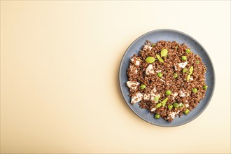 Quinoa porridge with green pea and chicken on ceramic plate on a pastel orange background. Top