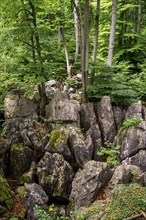 The Felsenmeer in Hemer, Sauerland, geotope, with rugged rock formations, nature reserve, North