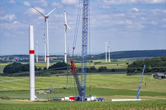 Wind farm near Brilon-Radlinghausen, new wind turbine being built, mobile crane, North