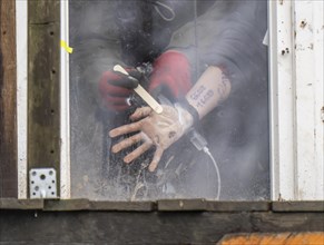 2nd day of the eviction of the hamlet Lützerath, by the police, of tree houses and huts, activist