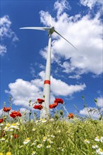 Wind farm near Brilon-Radlinghausen, Sauerland, North Rhine-Westphalia, Germany, Europe