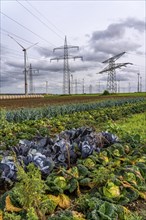 Wind farm, power line, high-voltage pylons, agriculture, fields, fields, east of Bad Wünnenberg,