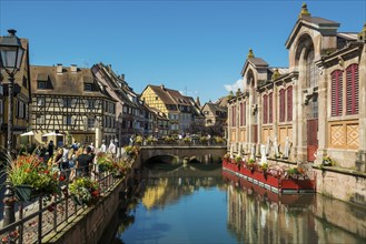 Picturesque colourful half-timbered houses, La Petite Venise, Colmar, Alsace, Bas-Rhin, France,