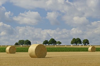 Grain field after harvest, stubble field with round straw bales, blue cloudy sky, North