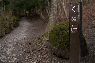 Signpost to Tell's Chapel and Hohle Gasse, artificial hollow path between Immensee and Küssnacht am