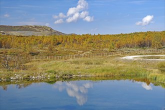 A lake reflecting the autumn landscape and blue sky with clouds, autumn, Hjerkinn,