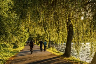 Cycling on Lake Baldeney, around 14 kilometres around the Ruhr reservoir, summer evening on the