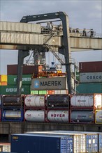 Port of Duisburg Ruhrort, Container freighter being loaded and unloaded at DeCeTe, Duisburg