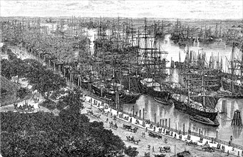 The harbour of Hamburg, Germany, in 1880, Historical, digital reproduction of an original from the