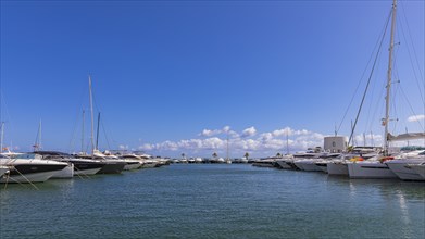 Luxury yachts anchored in the harbour of Santa Eularia des Rui, Ibiza, Balearic Islands,