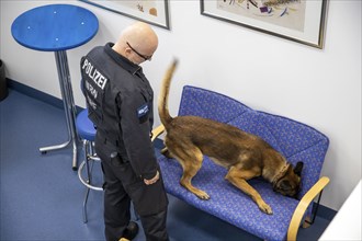 Data storage sniffer dog of the North Rhine-Westphalia police, here in a training flat, training