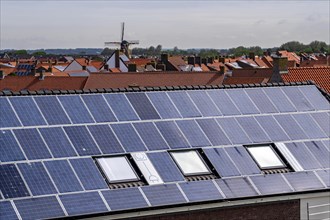 Solar modules on roofs, on the roof of a building on the dyke, North Sea coast, in Zeeland,