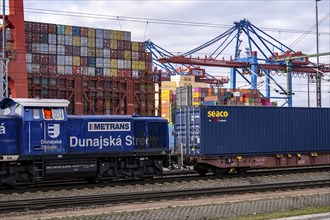 Port of Hamburg, Waltershofer Hafen, container ships, goods train brings and collects freight