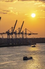 Port of Hamburg, HHLA Container Terminal Burchardkai, Athabaskakai, on the Elbe, Hamburg, Germany,