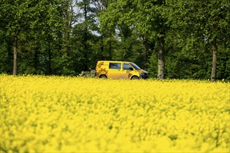 Landscape on the Lower Rhine, post van, postman by VW bus on the B57 federal road, between Xanten