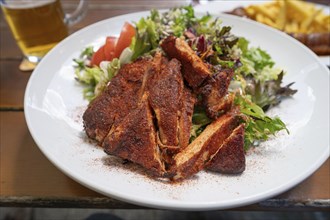 Salad with turkey strips served in a garden tart, Bavaria, Germany, Europe