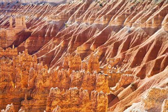 Bryce National Park in Utah, USA, North America