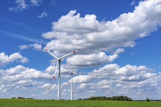 Wind farm, wind turbine, wind turbines from the manufacturer Enercon, blue sky with many white