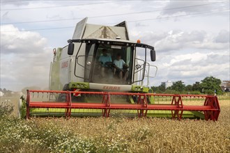 Grain harvest in the Rhein-Pfalz district near Mutterstadt