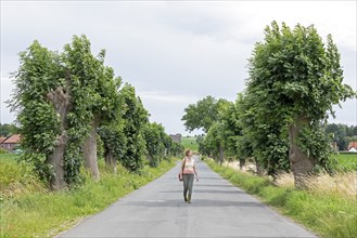 Avenue, street, trees, elderly woman, Burgstemmen, Lower Saxony, Germany, Europe