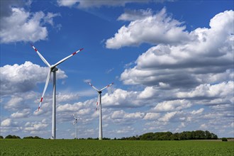 Wind farm, wind turbine, wind turbines from the manufacturer Enercon, blue sky with many white