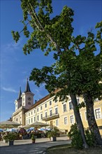 Large maple (Acer), Tegernsee Benedictine Abbey with St Quirin's Basilica, today a castle with