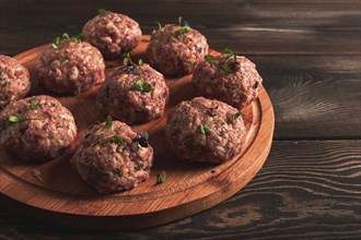 Raw meatballs, with micro greenery, on a cutting board, homemade, rustic, no people