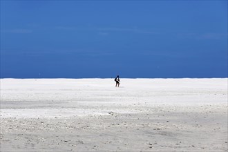 DEU, 18.06.2020, A holidaymaker walks through the knee sand on the beach of the island of Amrum,