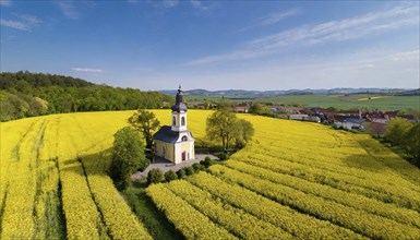 Agriculture, rape field, in full bloom, yellow, in it a small prayer chapel, aerial view, AI