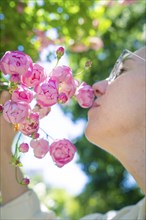 Woman smelling a bunch of pink roses in the sunlight in a green garden, Böblingen, Germany, Europe