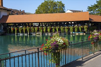 River Aare in City of Thun and Untere Schleuse Bridge in a Sunny Summer Day, Bernese Oberland, Bern