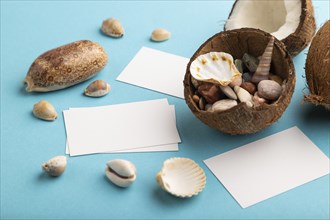 White paper business card with coconut and seashells on blue pastel background. Side view, copy